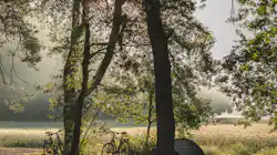 Natuurkampeerterrein Landgoed Quadenoord