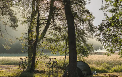 Natuurkampeerterrein Landgoed Quadenoord