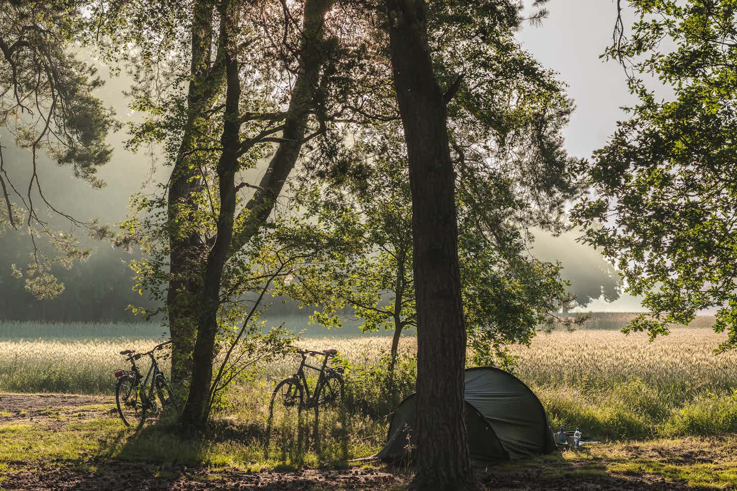 Natuurkampeerterrein Landgoed Quadenoord