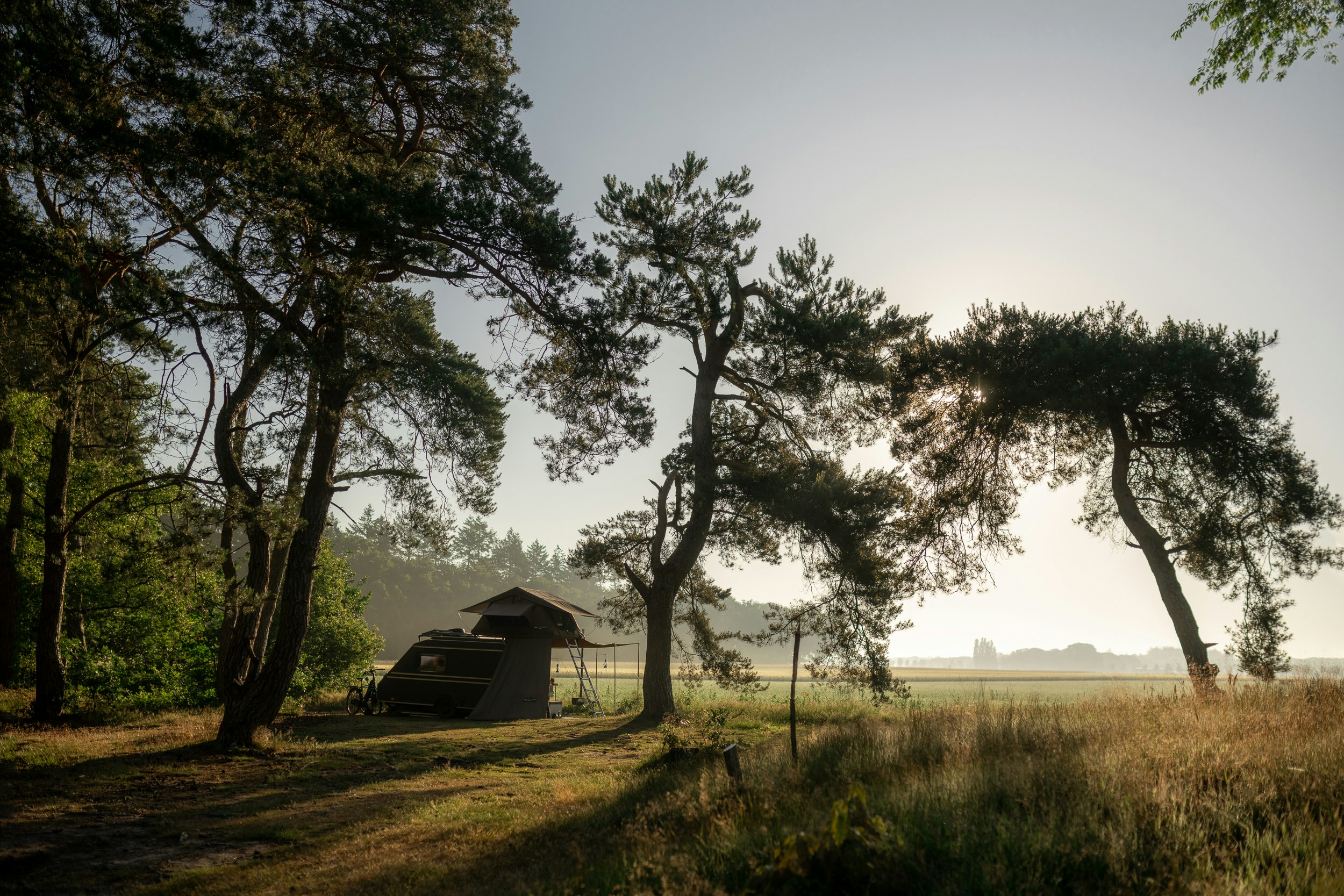 Natuurkampeerterrein Landgoed Quadenoord - Standplätze auf dem Campingplatz