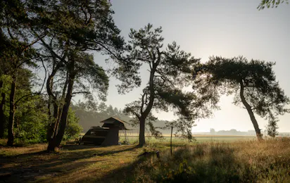 Natuurkampeerterrein Landgoed Quadenoord
