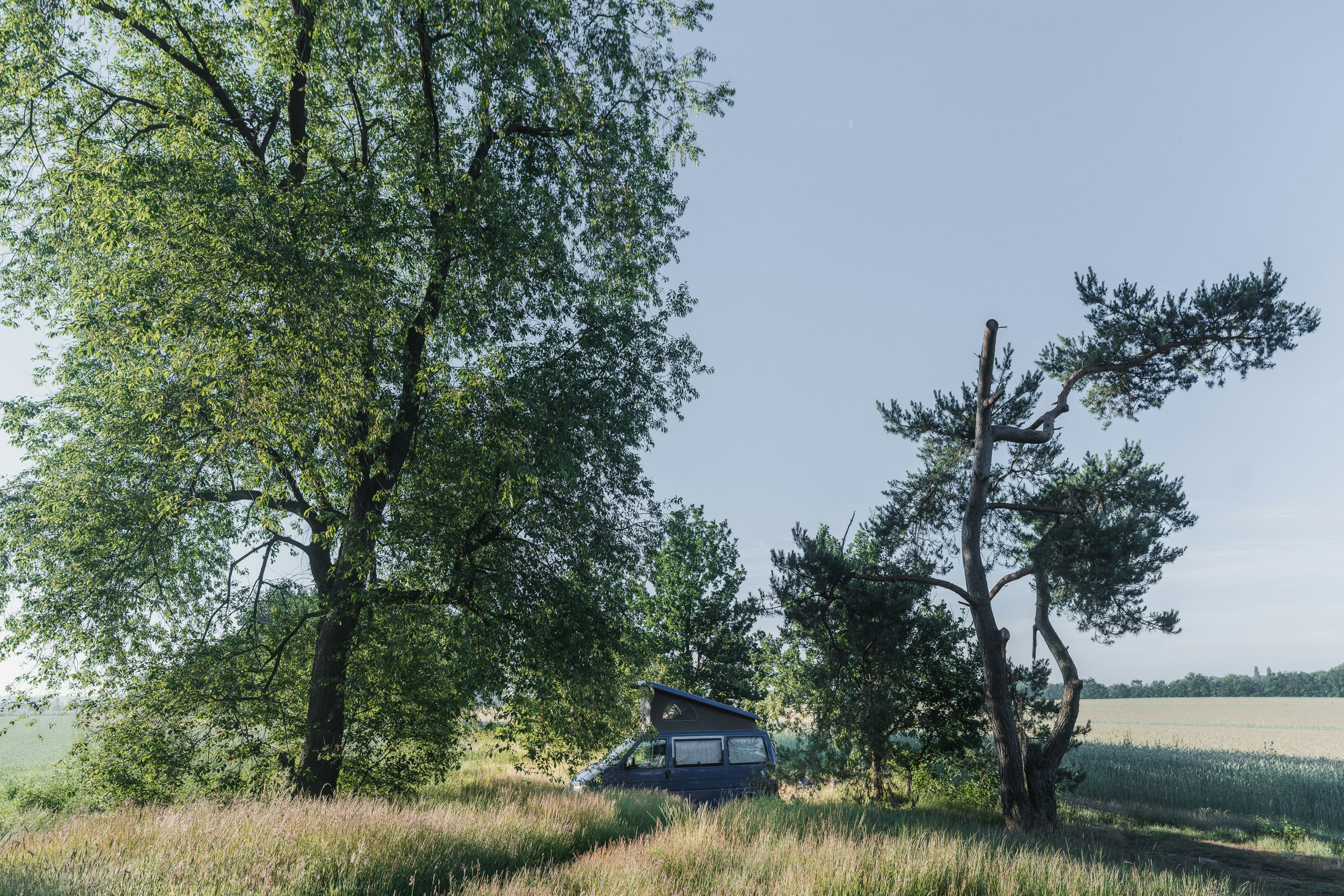 Natuurkampeerterrein Landgoed Quadenoord - Standplätze auf dem Campingplatz