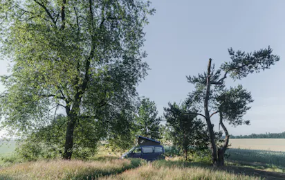 Natuurkampeerterrein Landgoed Quadenoord