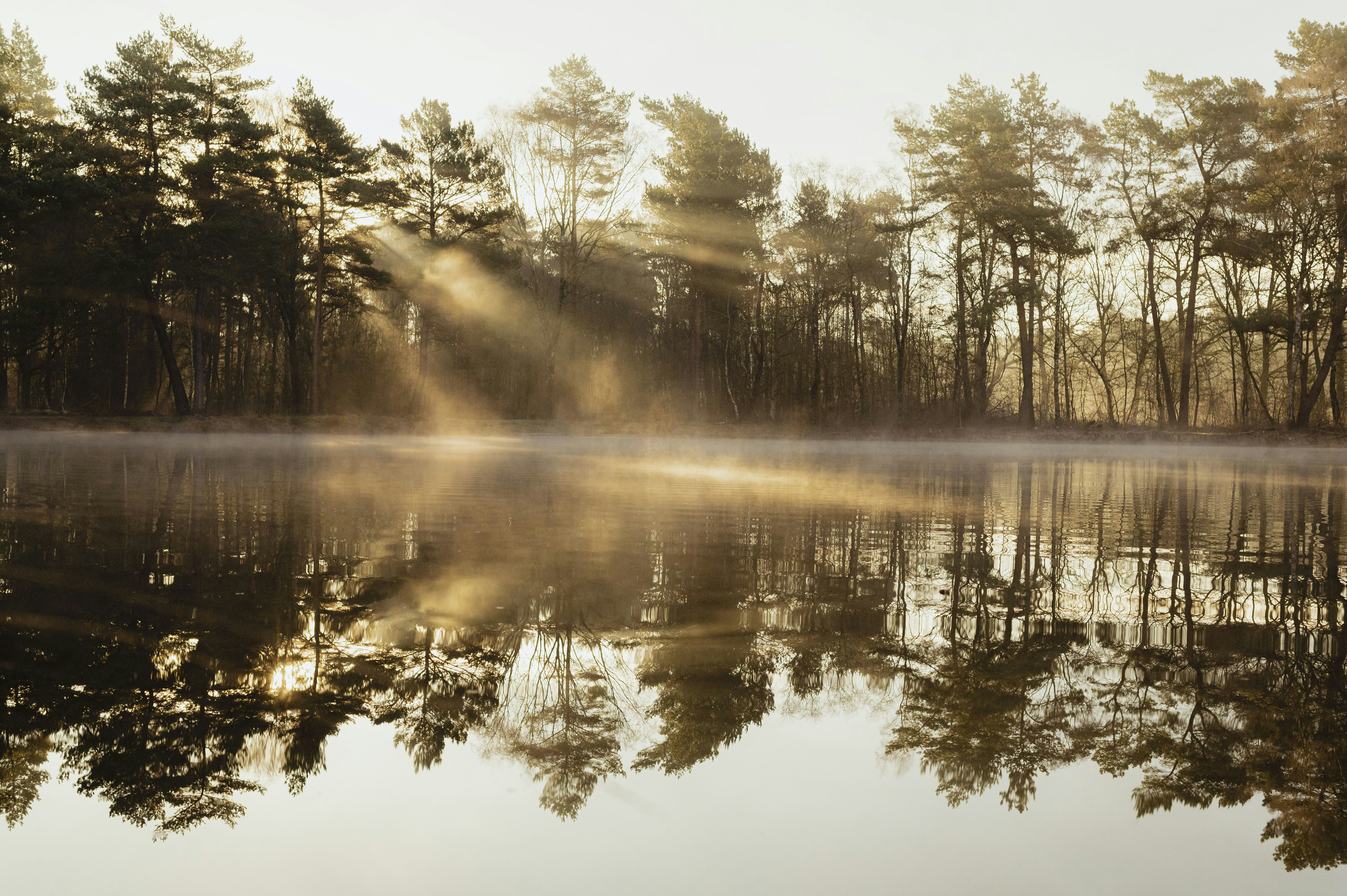 Natuurkampeerterrein Landgoed Vilsteren - Blick auf den See am Campingplatz