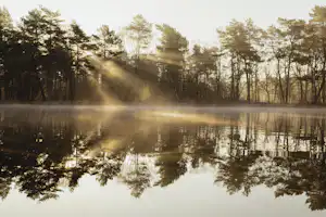 Ruhiger See mit Spiegelung im Morgennebel, dahinter ein Wald aus hohen Bäumen.