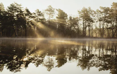 Natuurkampeerterrein Landgoed Vilsteren