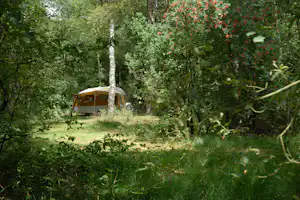 Ein Wohnwagen steht im Grünen zwischen Bäumen auf einem Campingplatz, umgeben von Wald und Gras.