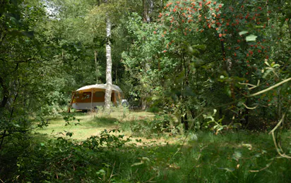 Natuurkampeerterrein Landgoed Vilsteren