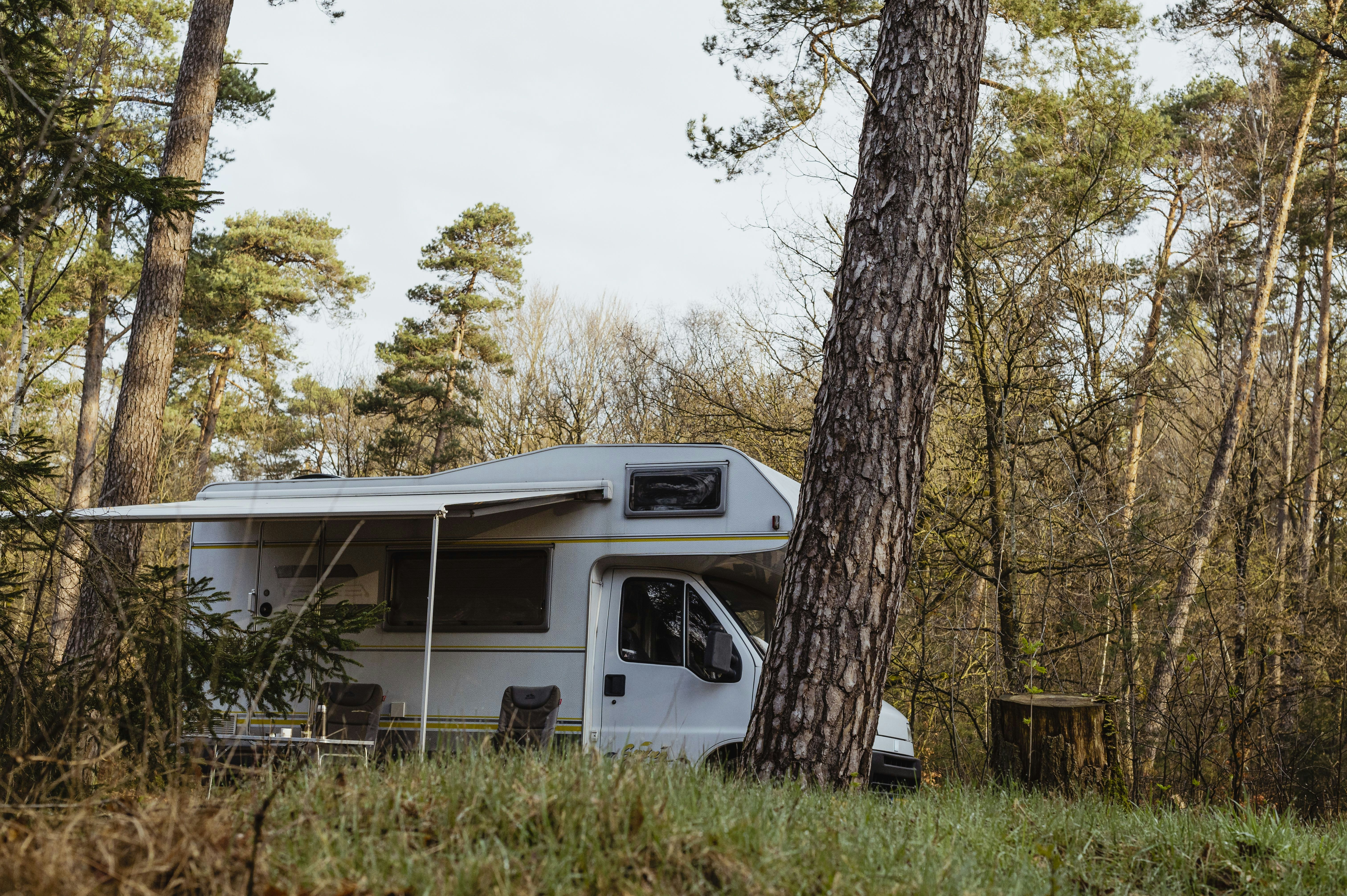 Natuurkampeerterrein Landgoed Vilsteren