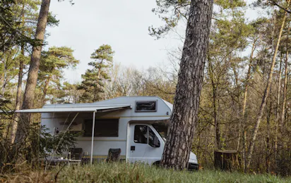 Natuurkampeerterrein Landgoed Vilsteren