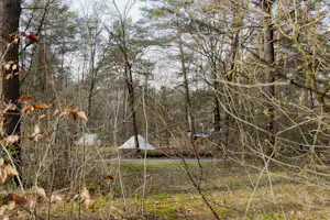 Zelt auf einem Campingplatz im Wald zwischen kahlen Bäumen, Grasfläche und schmalem Weg.