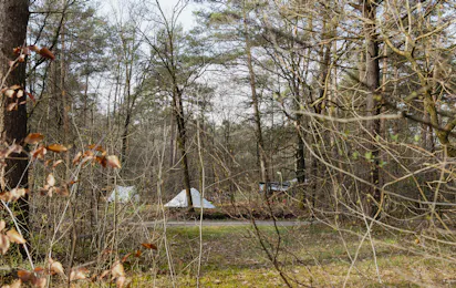 Natuurkampeerterrein Landgoed Vilsteren