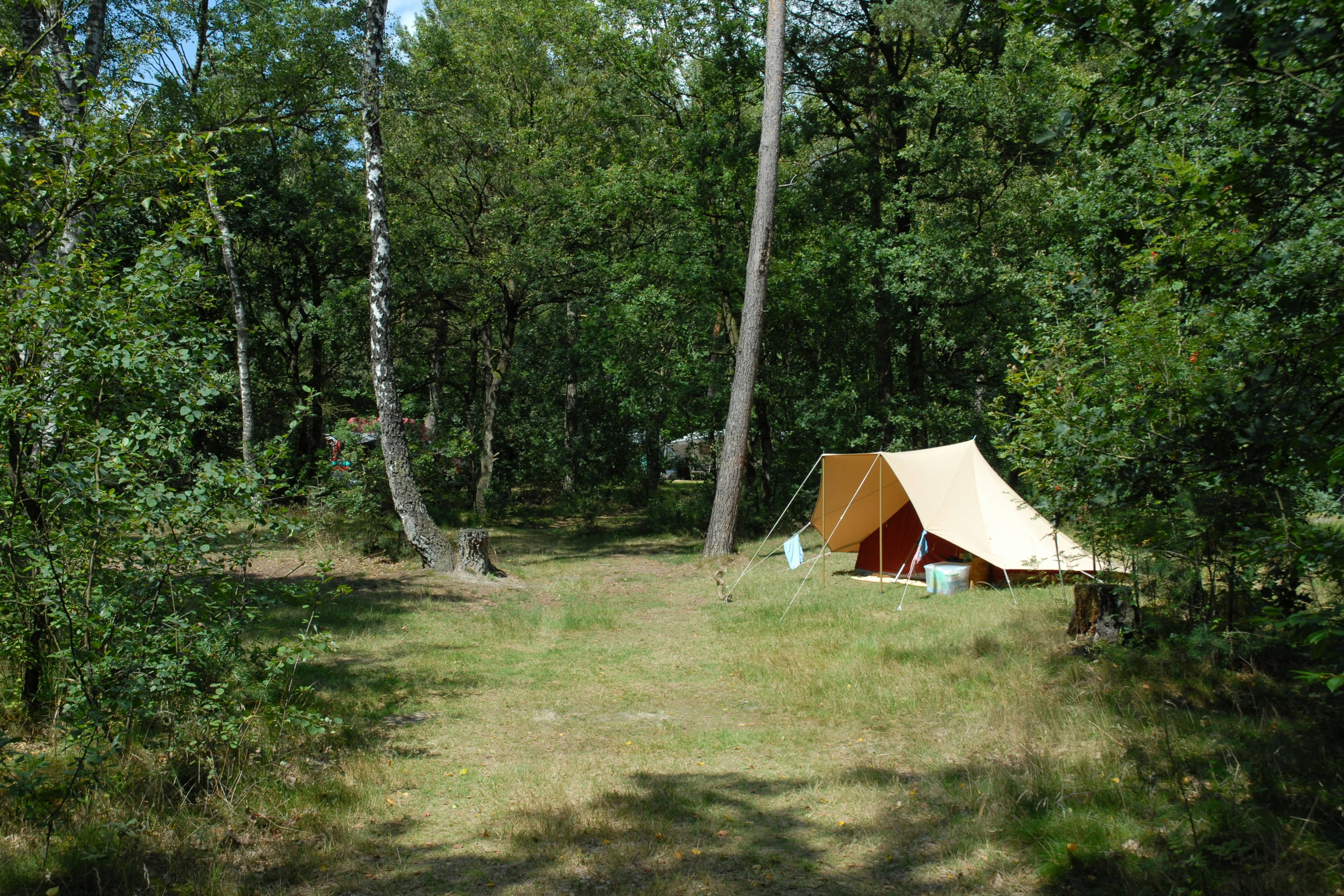 Natuurkampeerterrein Landgoed Vilsteren - Zeltplatz im Grünen auf dem Campingplatz