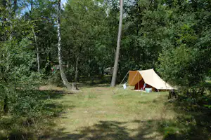 Ein Campingzelt steht auf einer Wiese im Wald, umgeben von Bäumen und Gras, mit freiem Zeltbereich.