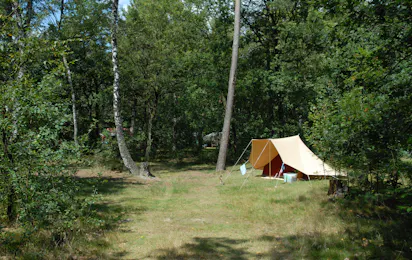 Natuurkampeerterrein Landgoed Vilsteren