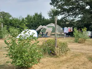 Campingzelt auf einem Stellplatz im Grünen, mit Wäscheleine und Büschen im Vordergrund, umgeben von Bäumen.