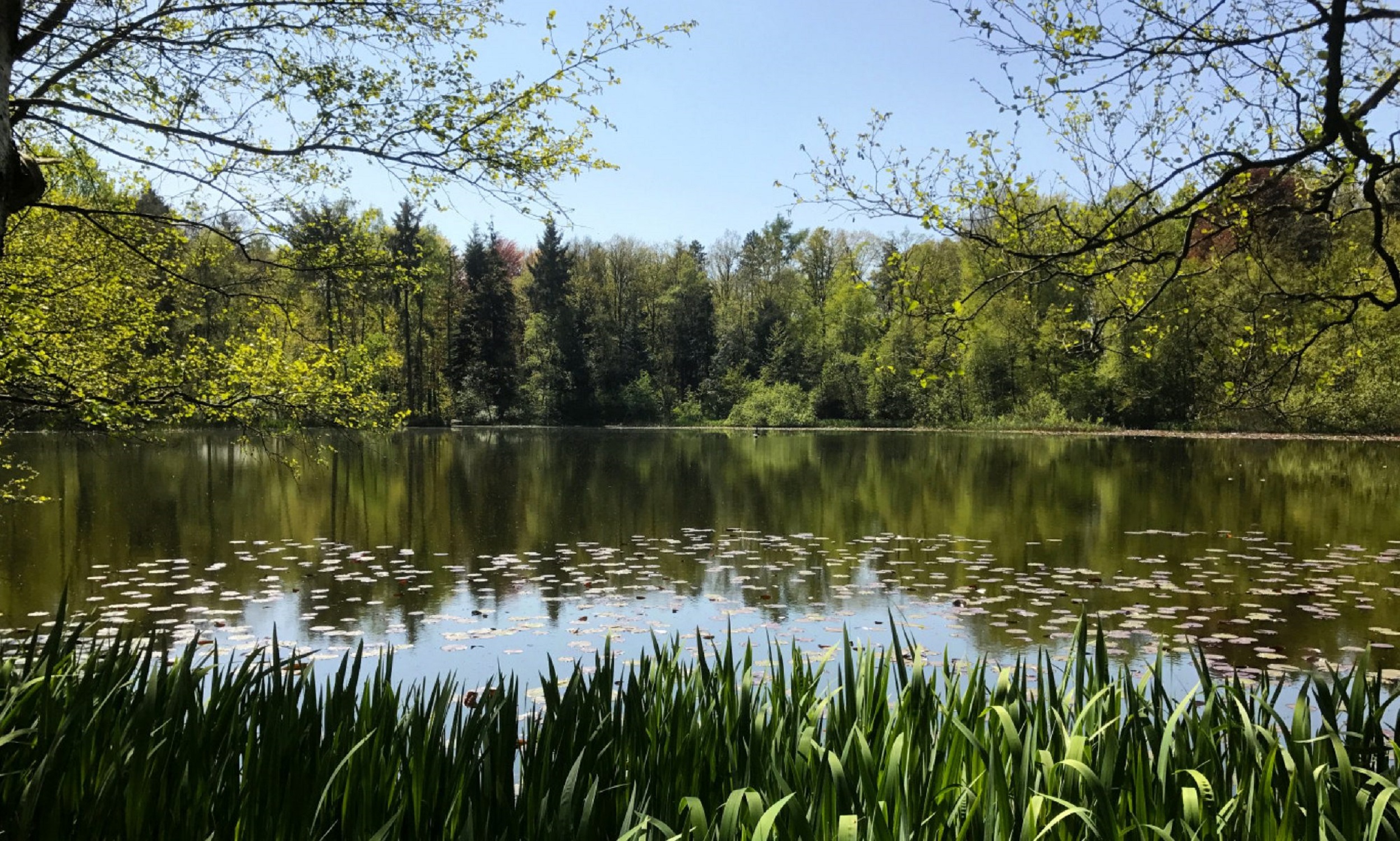 Natuurkampeerterrein Mariahoeve