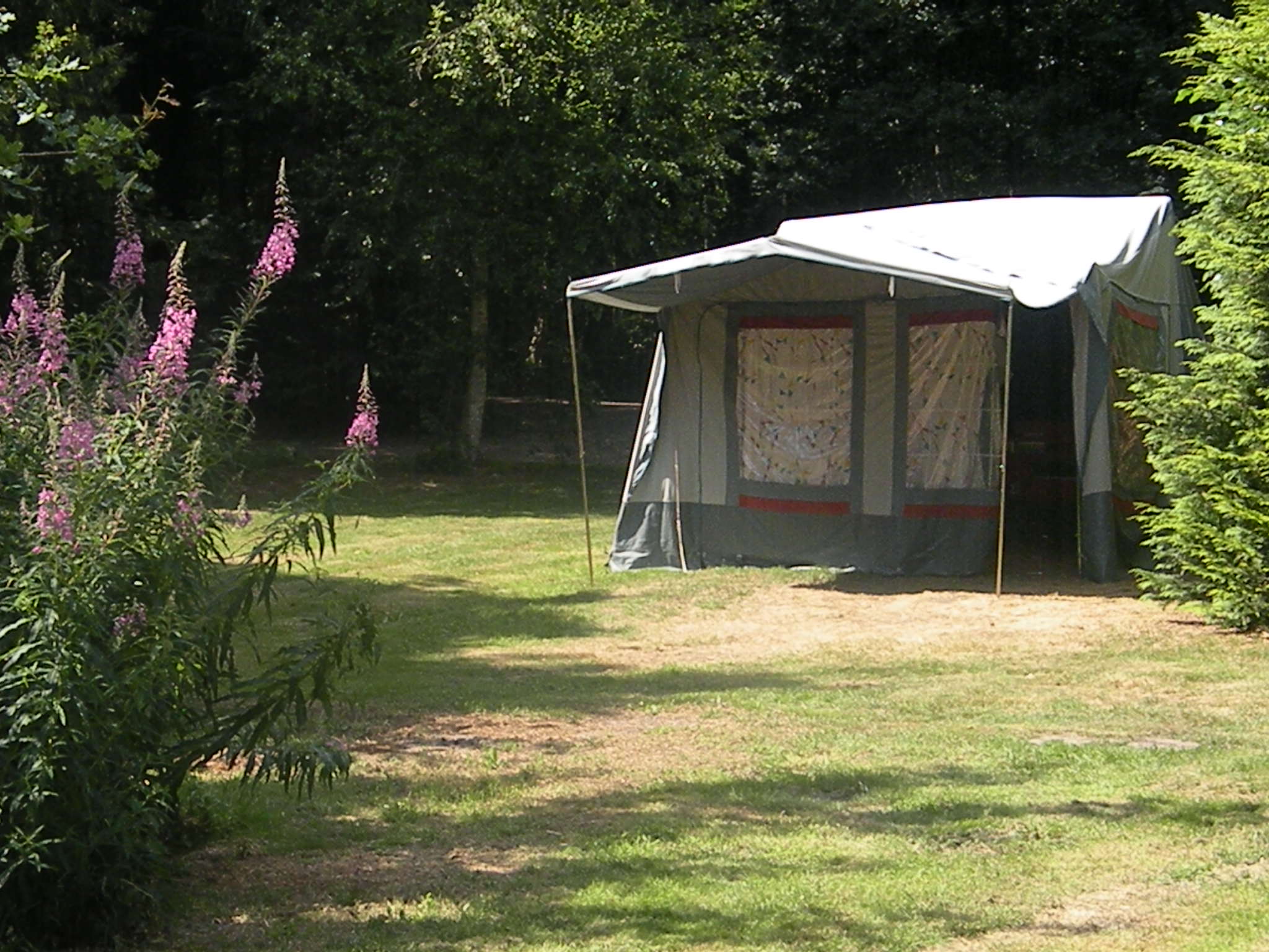 Natuurkampeerterrein Mariahoeve