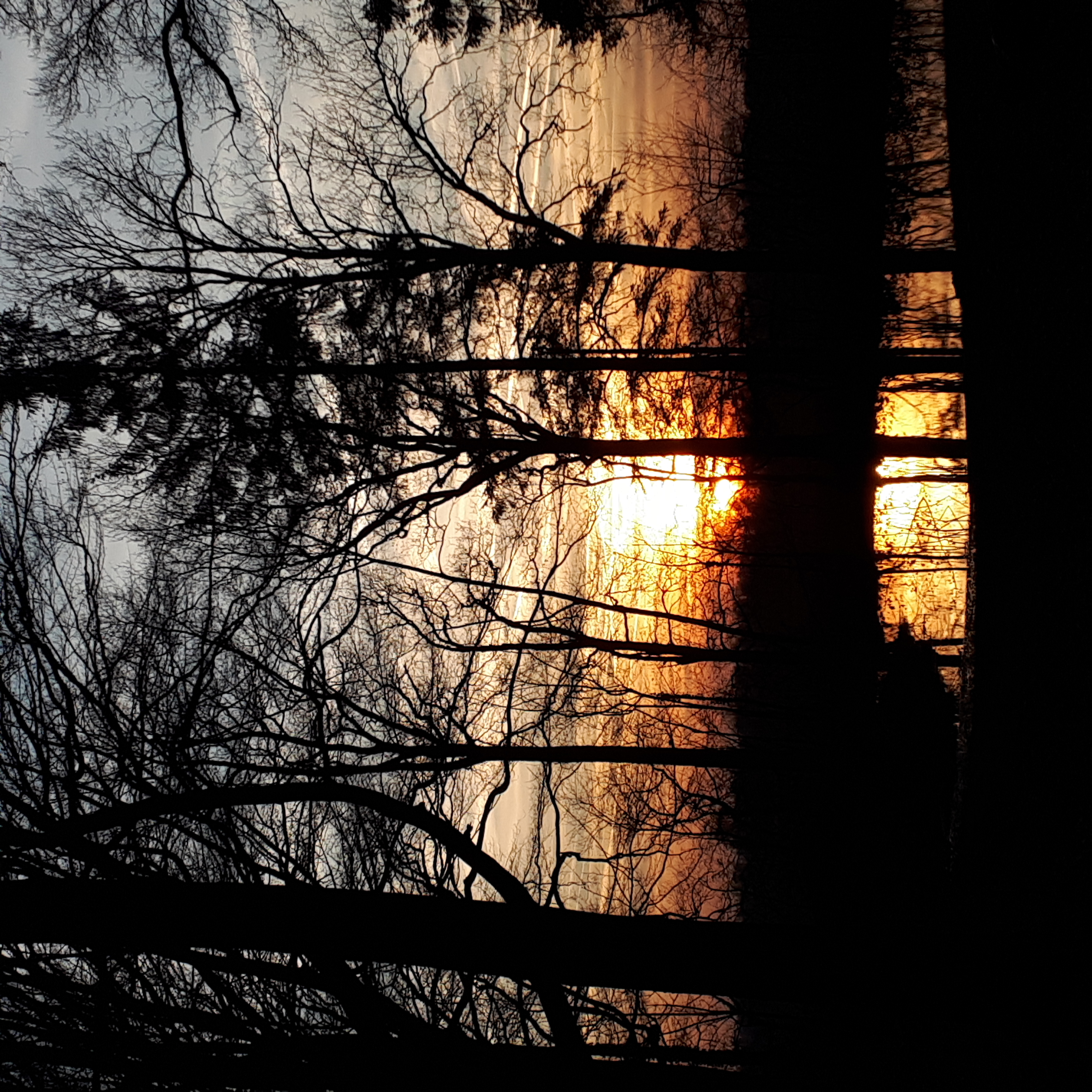 Natuurkampeerterrein Mariahoeve