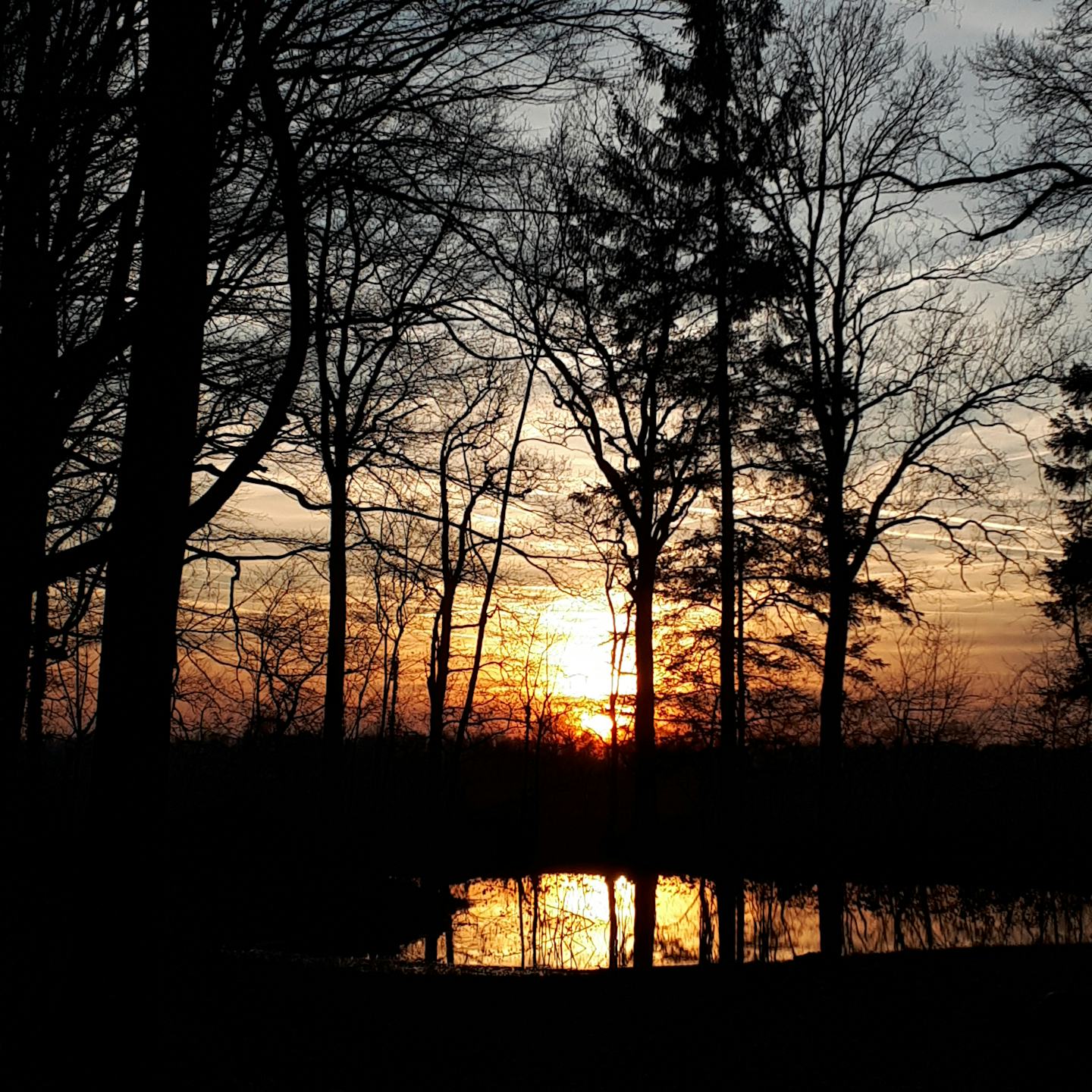 Natuurkampeerterrein Mariahoeve
