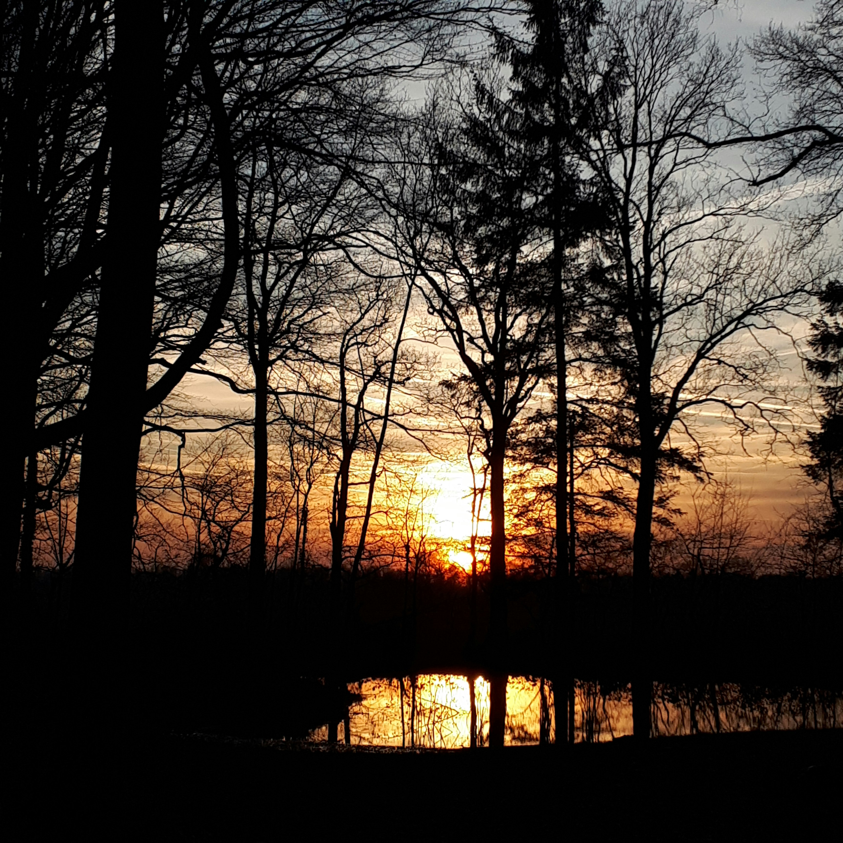 Natuurkampeerterrein Mariahoeve