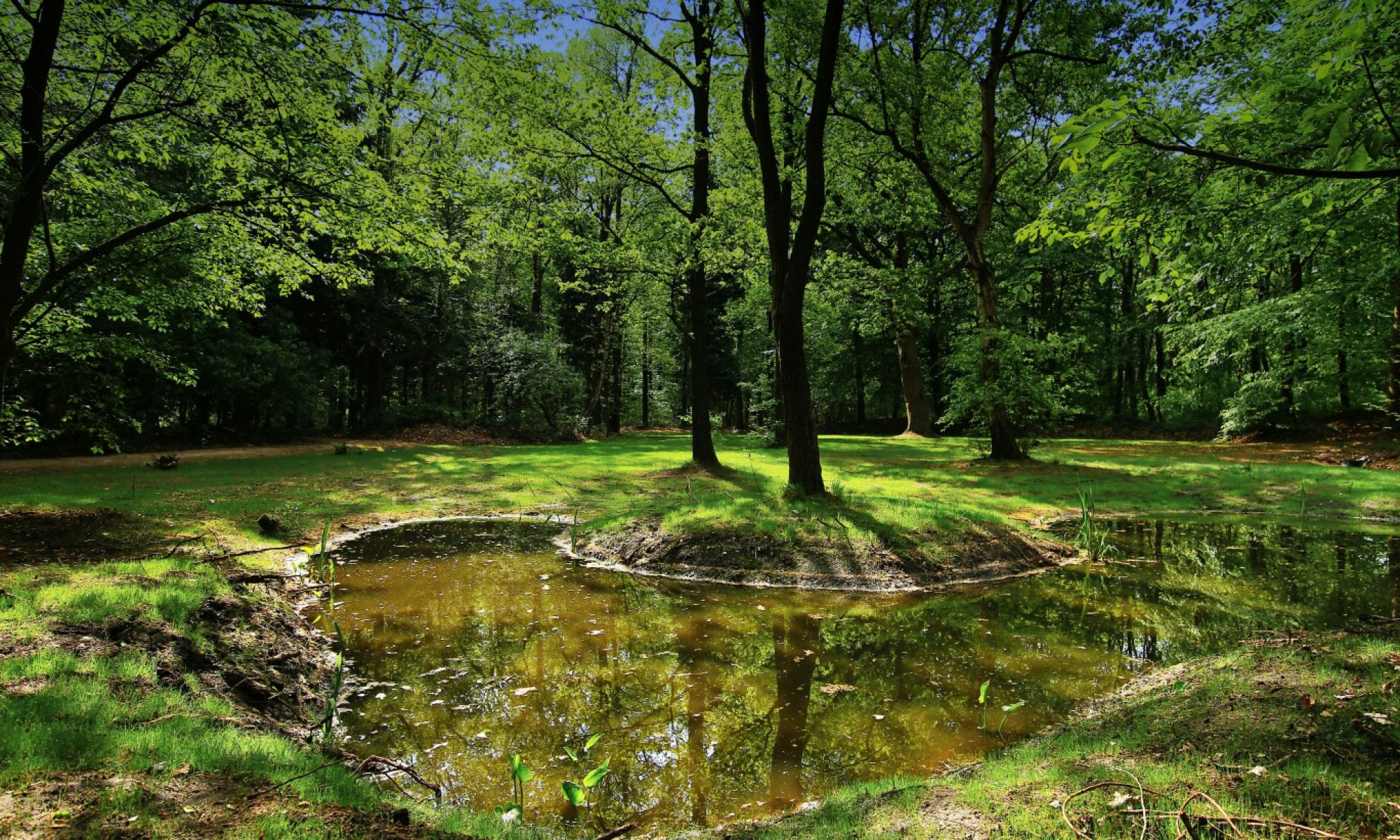 Natuurkampeerterrein Mariahoeve