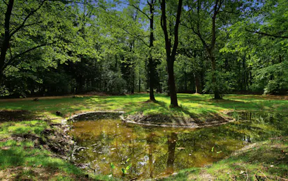 Natuurkampeerterrein Mariahoeve