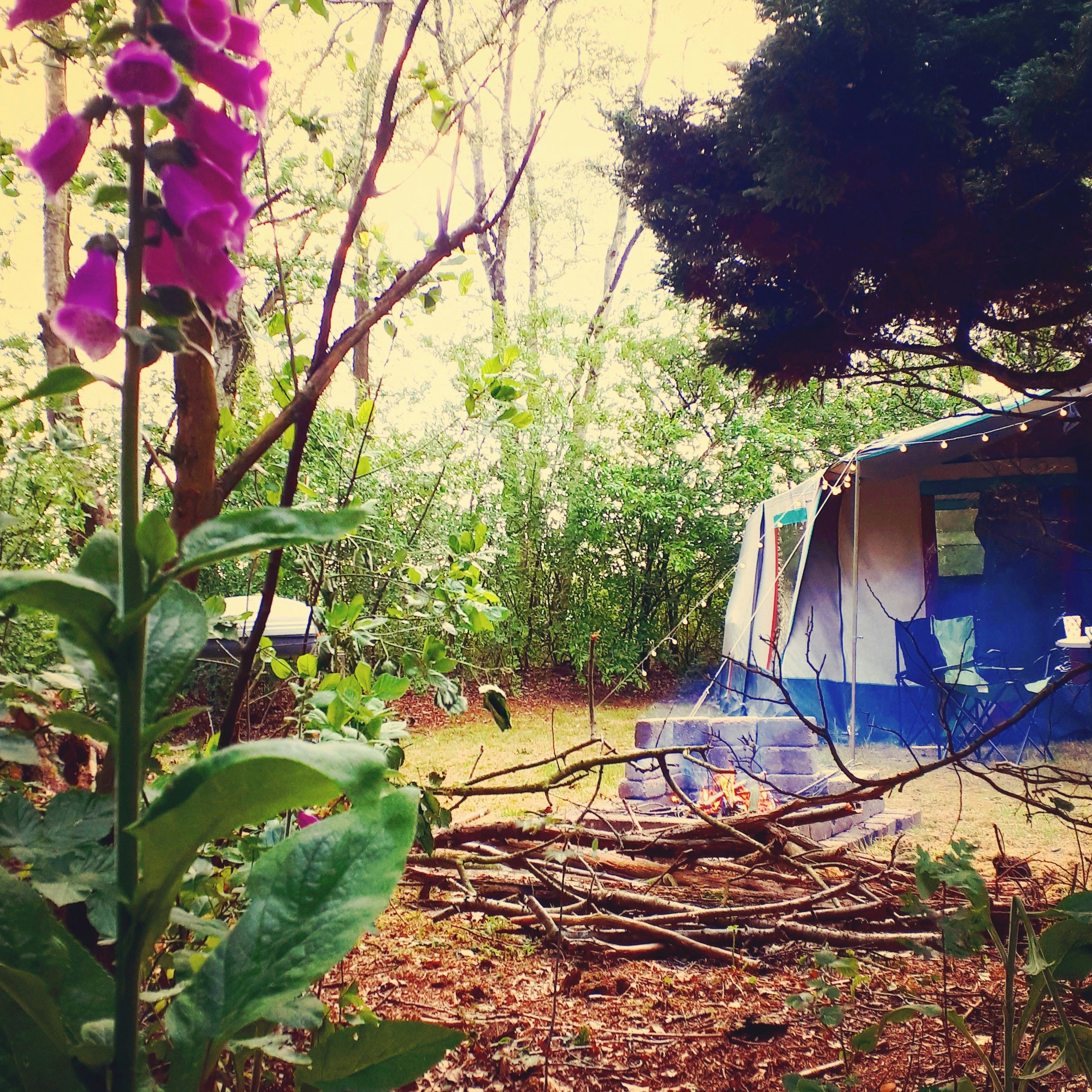 Natuurkampeerterrein Mariahoeve