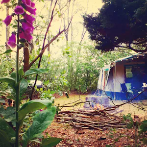 Natuurkampeerterrein Mariahoeve