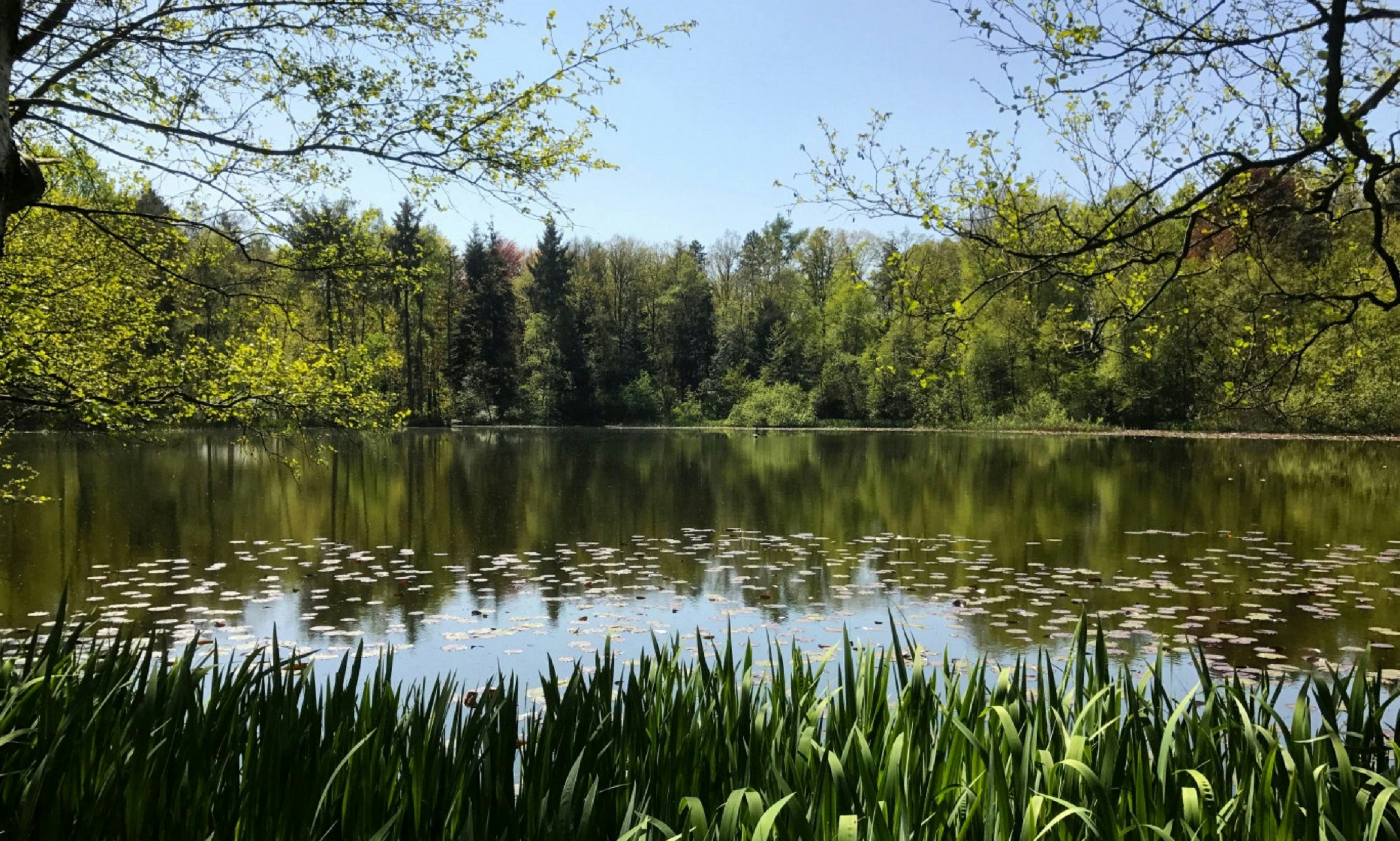 Natuurkampeerterrein Mariahoeve