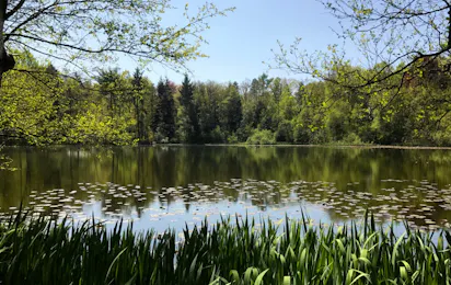 Natuurkampeerterrein Mariahoeve