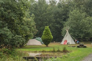 Natuurkampeerterrein Mariahoeve