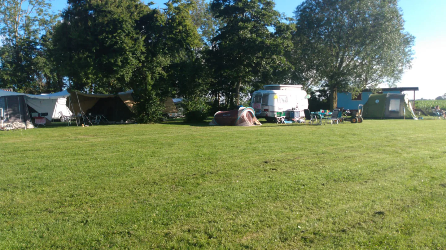 Minicamping en Theetuin