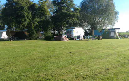 Minicamping en Theetuin