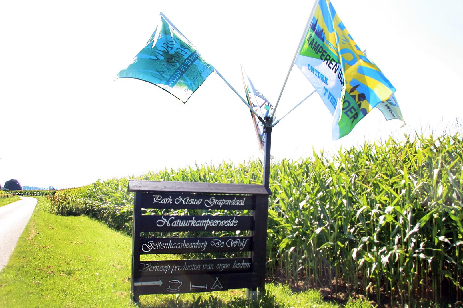 Naturcamping Park Nieuw Grapendaal