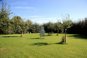 Grill auf einer Campingwiese mit Picknicktisch, umgeben von Obstbäumen und Hecken vor klarem Himmel.