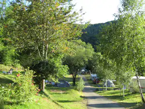 Campingweg zwischen Bäumen mit Stellplätzen, Zelten und Wohnwagen, im Hintergrund ein bewaldeter Hügel.