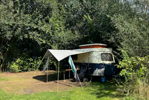 Natuurkampeerterrein Laaghalerveld - Standplätze im Grünen auf dem Campingplatz