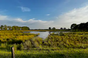Natuurkampeerterrein Thyencamp - Campingplatz am Wasser