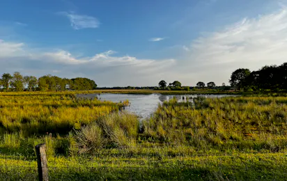 Natuurkampeerterrein Laaghalerveld