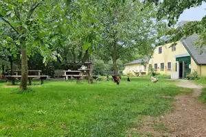 Natuurkampeerterrein Thyencamp - Picknicktische auf der Wiese