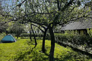 Natuurkampeerterrein Thyencamp - Zeltwiese auf dem Campingplatz