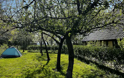 Natuurkampeerterrein Laaghalerveld