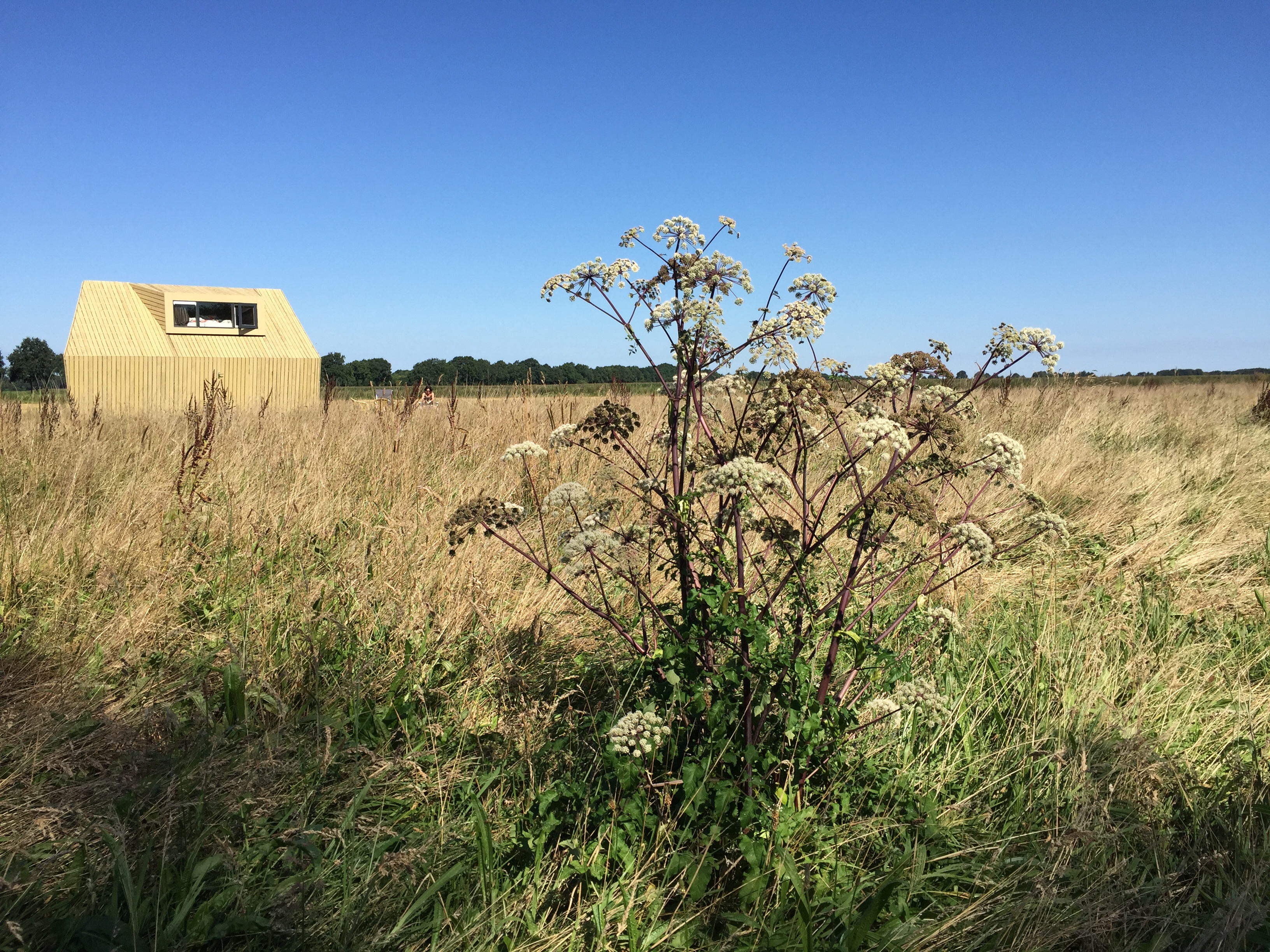 Natuurkampeerterrein Voscheheugte