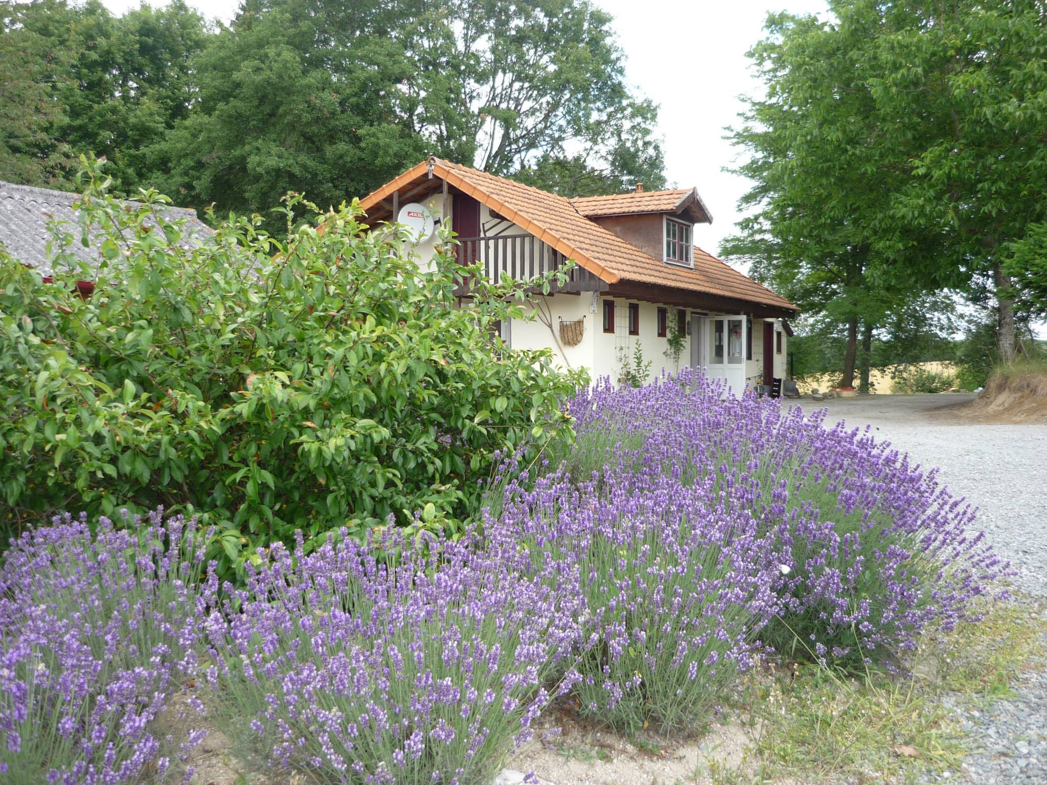 Natuurkampeerterrein Vue du Lac