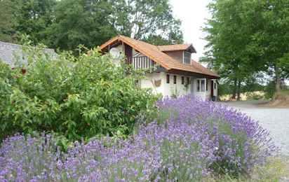 Natuurkampeerterrein Vue du Lac
