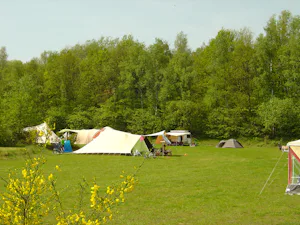 Natuurkampeerterrein Wega