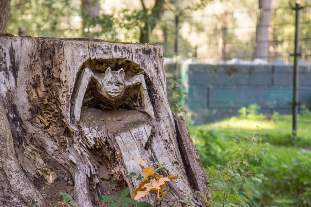 Natuurkampeerterrein Wega