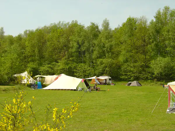 Natuurkampeerterrein Wega