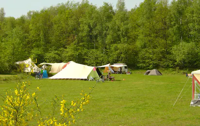 Natuurkampeerterrein Wega